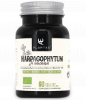 Arpagofito Biologico