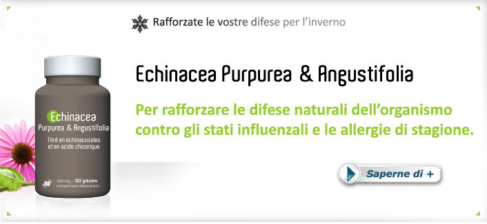 Echinacea Purpurea & Angustifolia