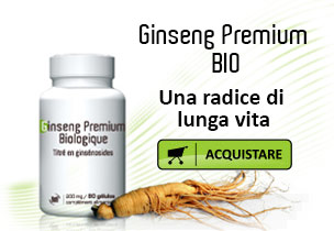 Ginseng premium BIO