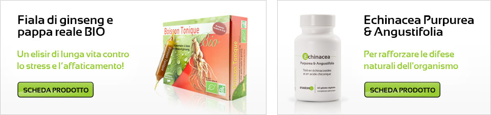 Fiala di ginseng e pappa reale BIO - Echinacea Purpurea & Angustifolia