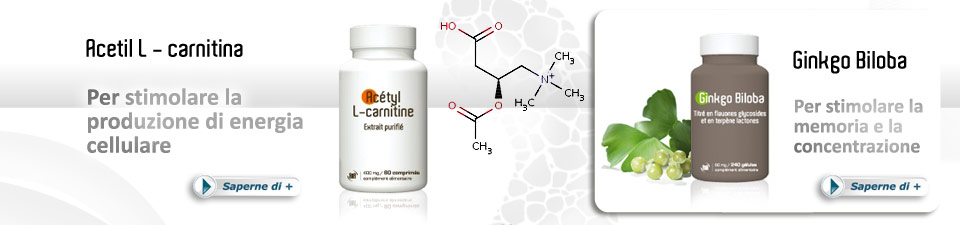 Acetil L - carnitina - Ginkgo Biloba