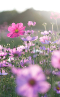 Perché ci si sente così stanchi quando inizia la Primavera?