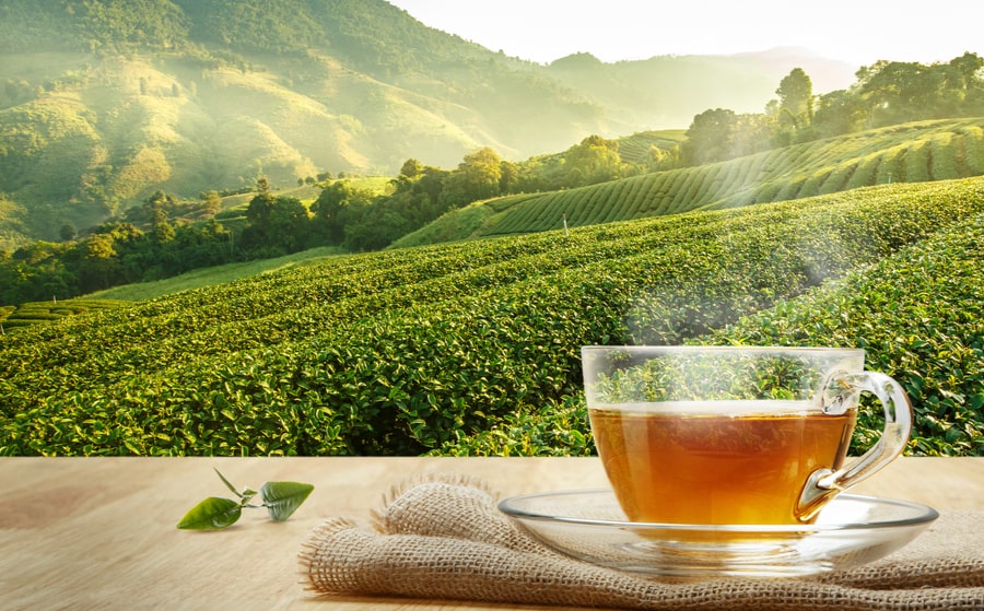  Il tè, una fonte di proprietà antiossidanti 