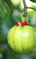 Garcinia Cambogia, il superalimento che riduce la sensazione di appetito<sup>1</sup>