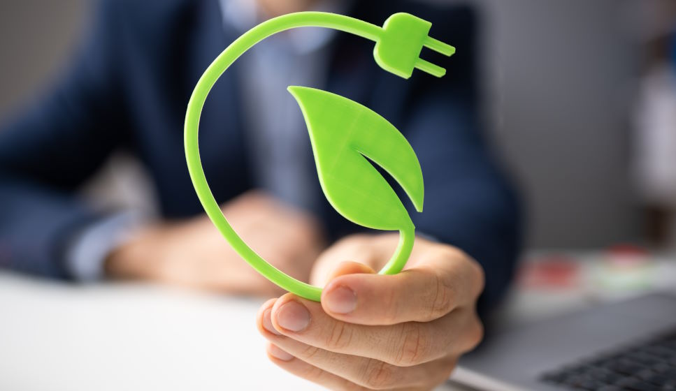 5 integratori per aumentare la tua energia senza caffè | Alternative naturali