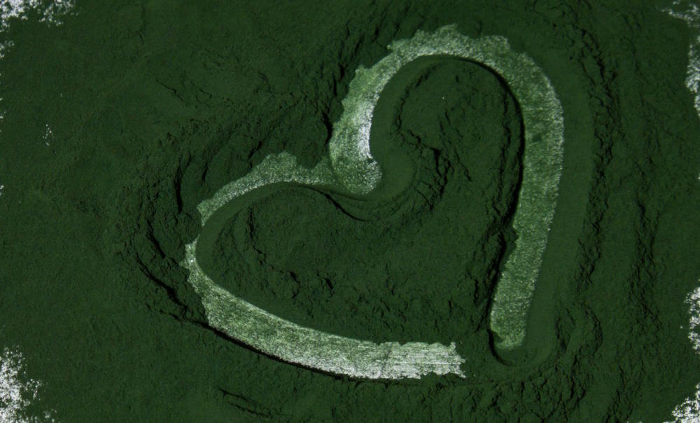 7 benefici della spirulina e quale formato scegliere