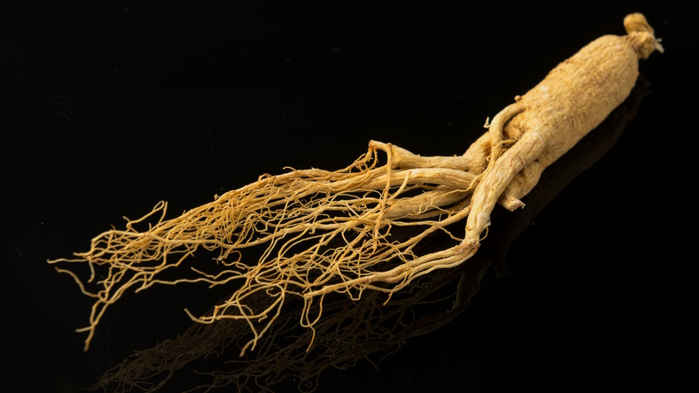 Ginseng bianco in polvere: come assumere e con quali alimenti
