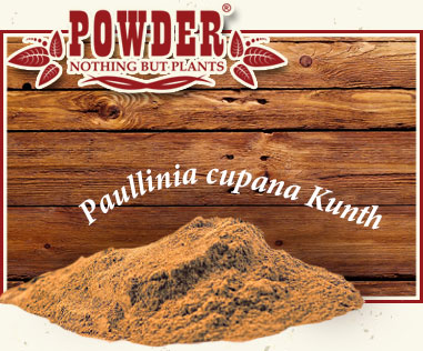 POWDER - GUARANÀ BIO IN POLVERE 