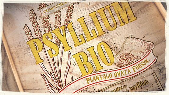 PSILLIO BIO IN POLVERE