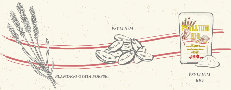 PSILLIO BIO IN POLVERE POWDER
