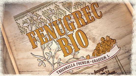 SEMI DI FIENO GRECO BIO