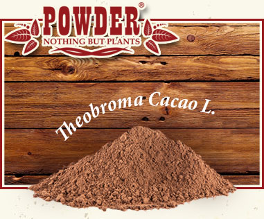 POWDER - CACAO CRUDO BIO IN POLVERE
