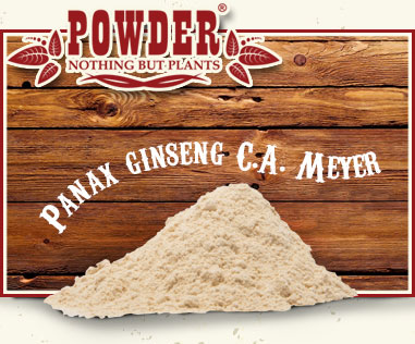 POWDER - GINSENG BIANCO BIO IN POLVERE