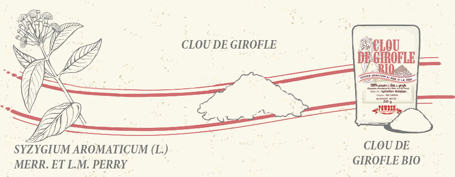 CHIODO DI GAROFANO BIOLOGICO