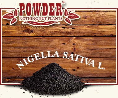 POWDER - CUMINO NERO