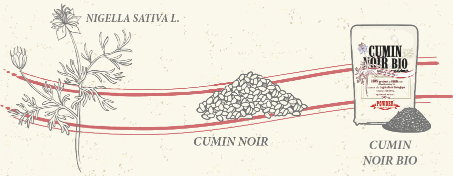 CUMINO NERO