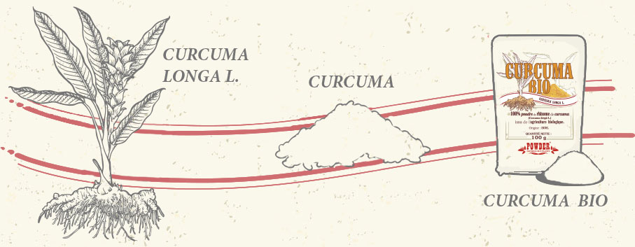 CURCUMA