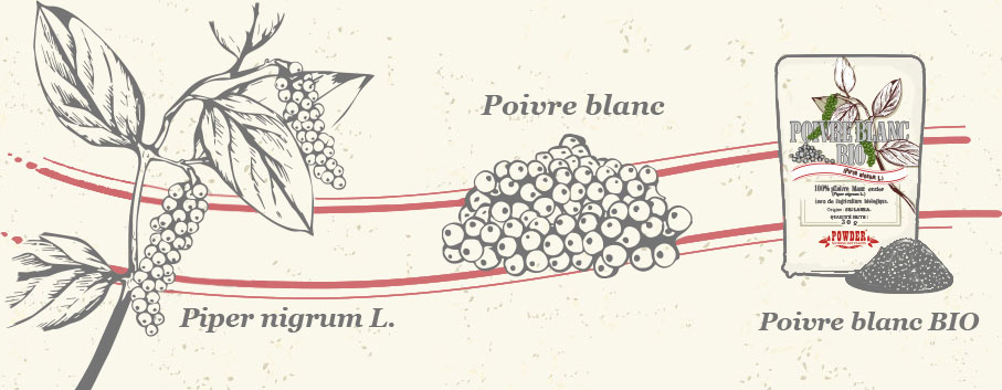 PEPE BIANCO BIO POWDER