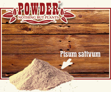POWDER - PROTEINE DI PISELLI IN POLVERE