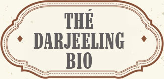 TÉ NERO DARJEELING BIO