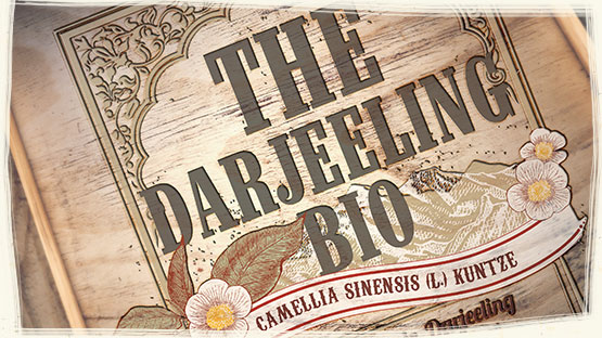 TÉ NERO DARJEELING BIO