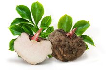 Glucomannano (Konjac)