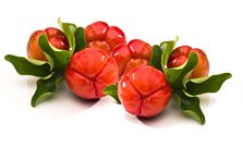 Acerola Biologica