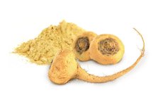 Maca Biologica