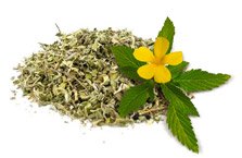 Damiana