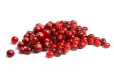 Schisandra