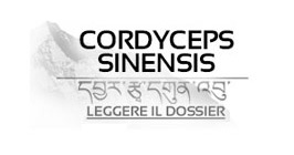 Cordyceps (CordycepsPrime™)