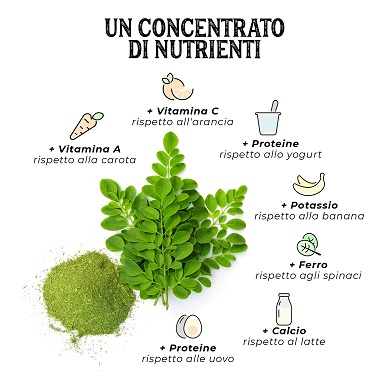 Moringa, concentrato di nutrienti