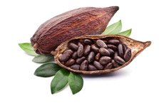 Proteina Max Definition 