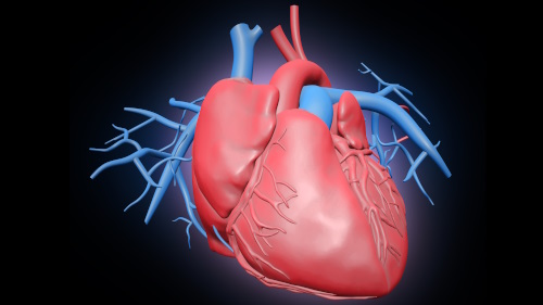Cuore