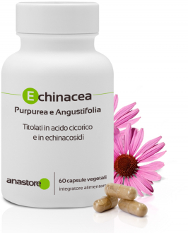 Echinacea Purpurea e Angustifolia