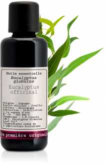 Olio essenziale Eucalyptus officinal Bio