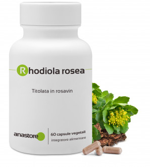 Rhodiola Rosea