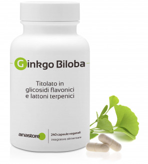Ginkgo Biloba