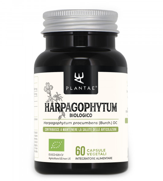 Arpagofito Biologico