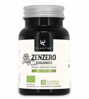 Zenzero Bio