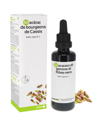 A base di gemme freschi di ribes nero biologico, glicerina vegetale e alcol biologico