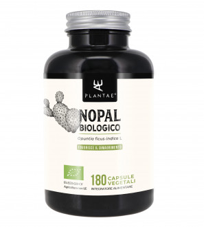 Nopal Biologico