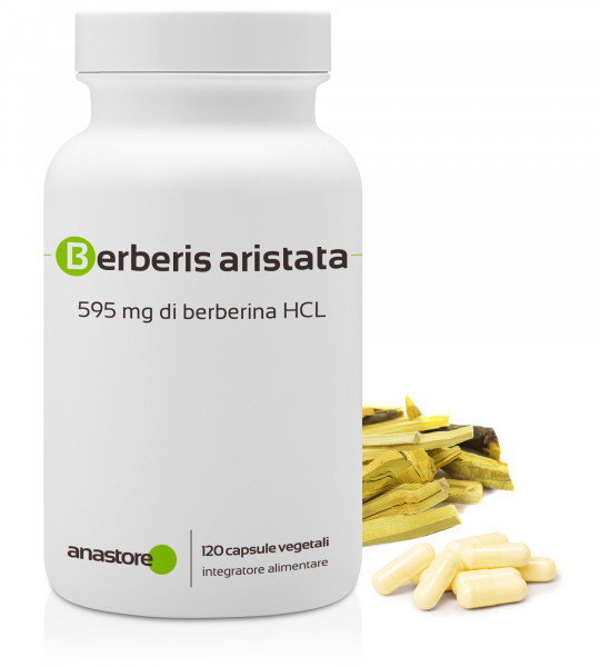 Berberina (Berberis aristata)