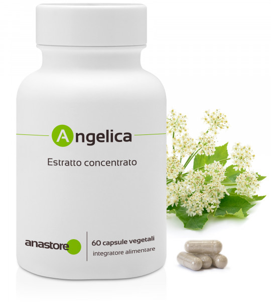 Angelica Archangelica