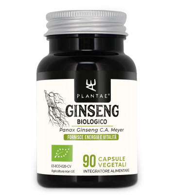 Il Ginseng apporta energia e vitalit&agrave;
